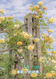 �����С�������ճ���np��