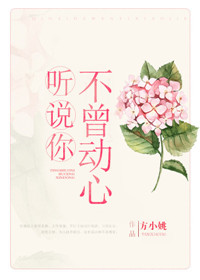 ��˵�㲻������