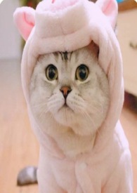 �Ե�ɨ��С������1v1С�����