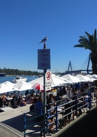 ҪͶ̥����Ҫȥ���߸���