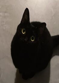 һǧ��һ��������