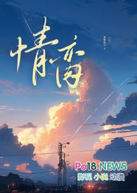 ������NP �����⣩