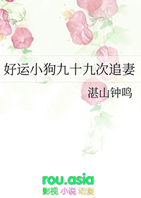 ����С����ʮ�Ŵ�׷��