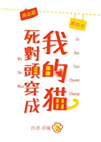 ����ͷ�����ҵ�è